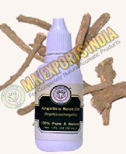 Angelica Root Essential Oil