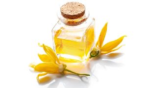 Ylang Ylang Essential Oil