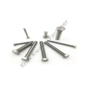 AISI 316 Stainless Steel Fasteners