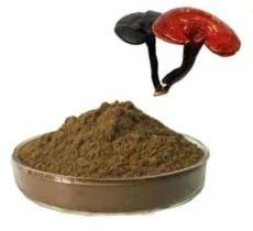 20% Ganoderma Extract