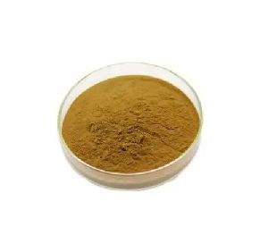 Bacopa Monnieri Brahmi Extract