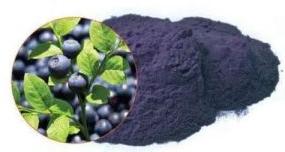 Bilberry Extract