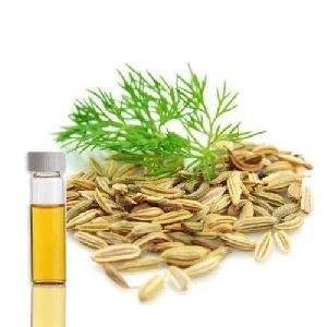 Dill Seed Oil