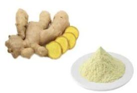 ginger dry extract