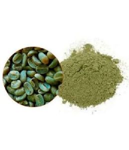 Green Coffee Bean Chlorogenic Acid Extract