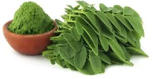 Moringa Leaf Extract