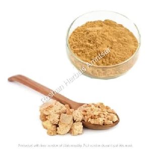 Asafoetida Powder