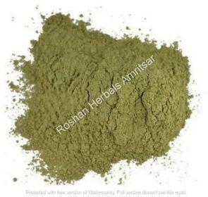 Roshan Herbals Gurmar Buti Powder