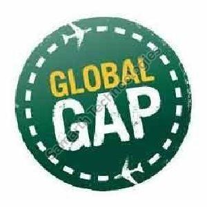 Global G.A.P. (Good Agricultural Practices) Consultancy