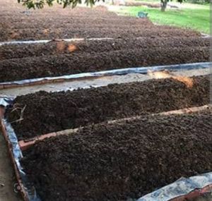 Vermicompost Fertilizer