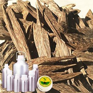 Agarwood Absolute Oil