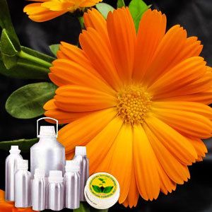 Calendula Absulute Oil