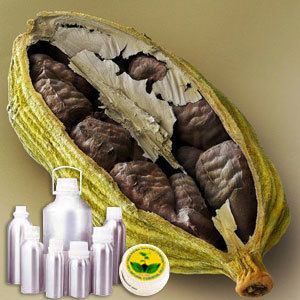 Cardamom Extra Absolute Oil