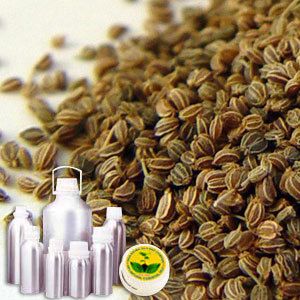 Celery Seed Oil