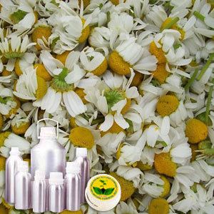 Chamomile Roman Oil