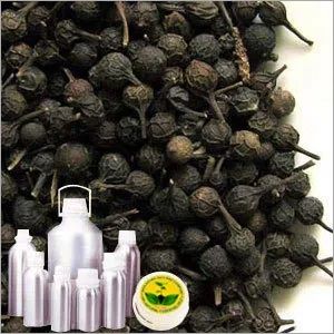 Cubeb Oil