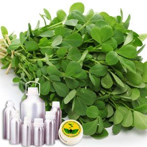 Fenugreek Oil