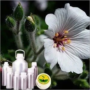 Geranium Oil