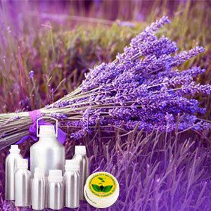 Lavender Oil