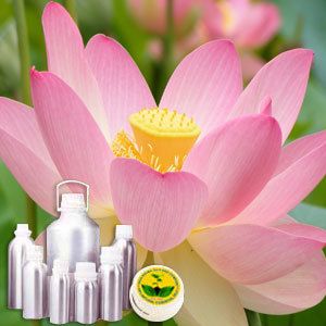 Lotus Oil