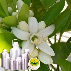 Neroli Absolute Oil