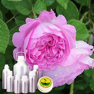 Rose Damask Absolute Oil