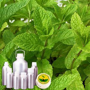 Spearmint Oil