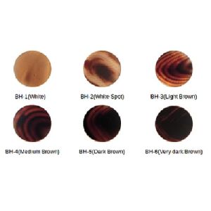 Buffalo Horn Button Blanks