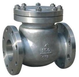 Cast Iron Check Valve