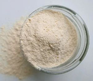 Spray Dried Muskmelon Powder