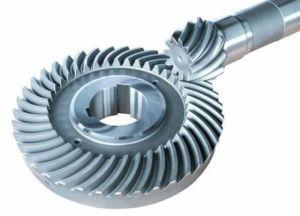 Bevel Gear