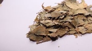 Dried Bael Leaves