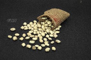 White Kaunch Seeds, Mucuna Prurien