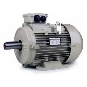 Crompton Greaves Motor