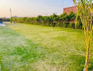 Farmland for sale in Ansal Aravali hills near pathways world school Gurgaon