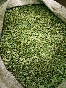 GREEN CARDAMOM, 8 MM & 7 MM