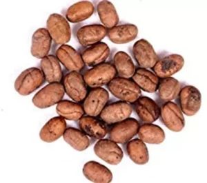 Ashoka Seeds