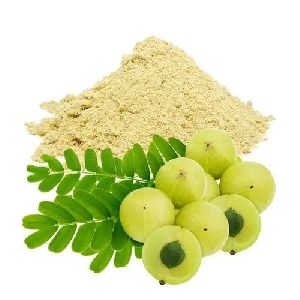 Amla Powder