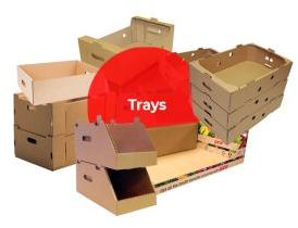 Corrugated Tray Box