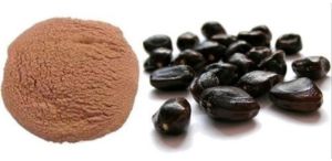 Tamarind Seed Powder