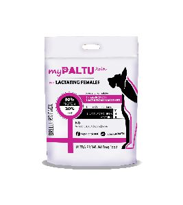 1kg MyPaltu Xcite Lactating Female Dog Food
