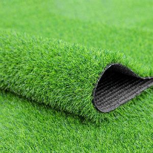 cricket ground grass