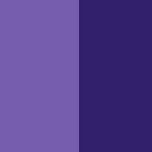 Helio B Violet 51 Direct Dye