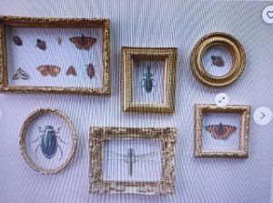 Picture Frames