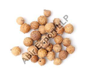 Gall Nuts