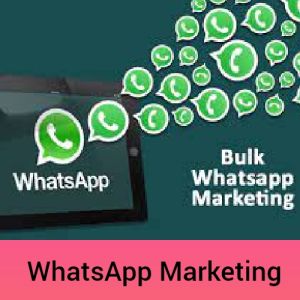 Bulk Whatsapp Marketing