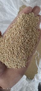 Quinoa Seeds