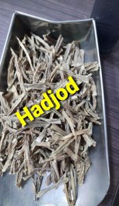 Hadjod dry