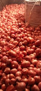 Red Onion