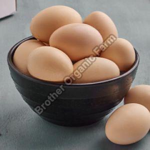 Kadaknath Eggs